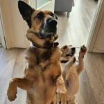 2024_C_Euskirchen_Teamassistenz